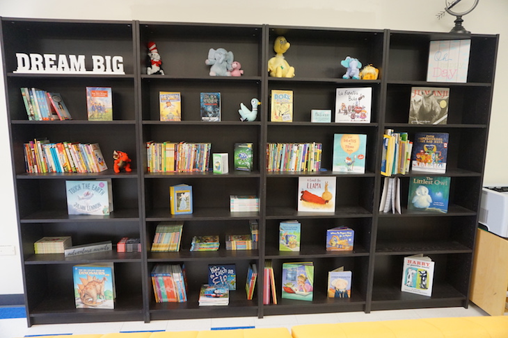 <p>A bookshelf houses some great reads for students.</p>
